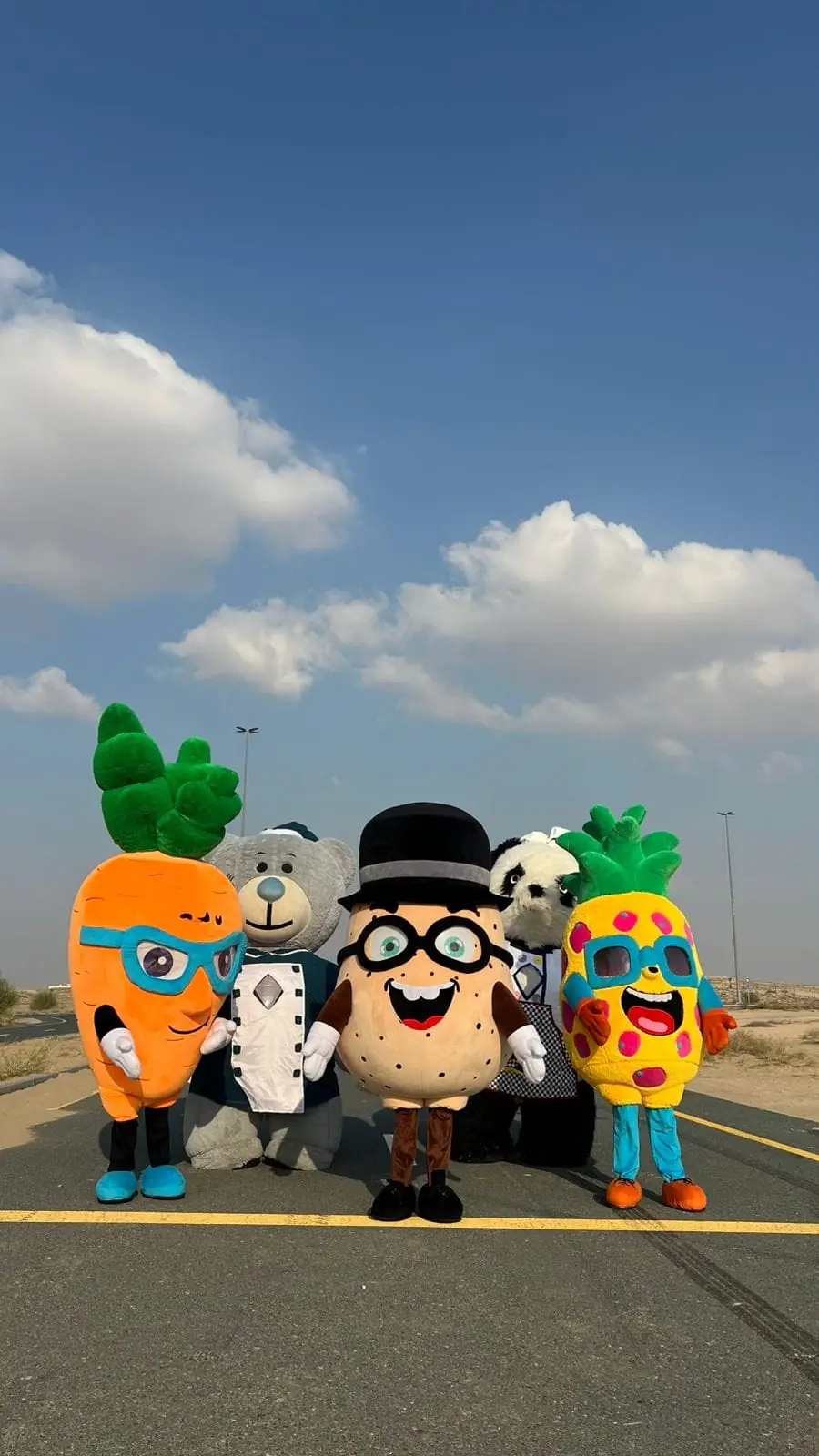 Group of costumed mascot characters for family days